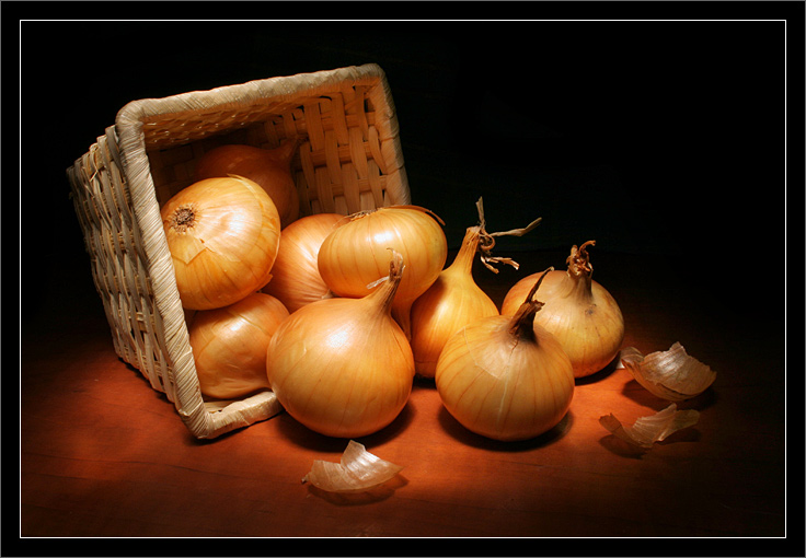 Zwiebel Flucht
