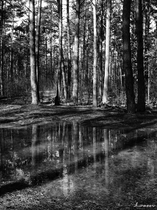 so etwas in den Frühling