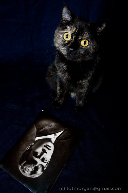 Dichter und einer Katze