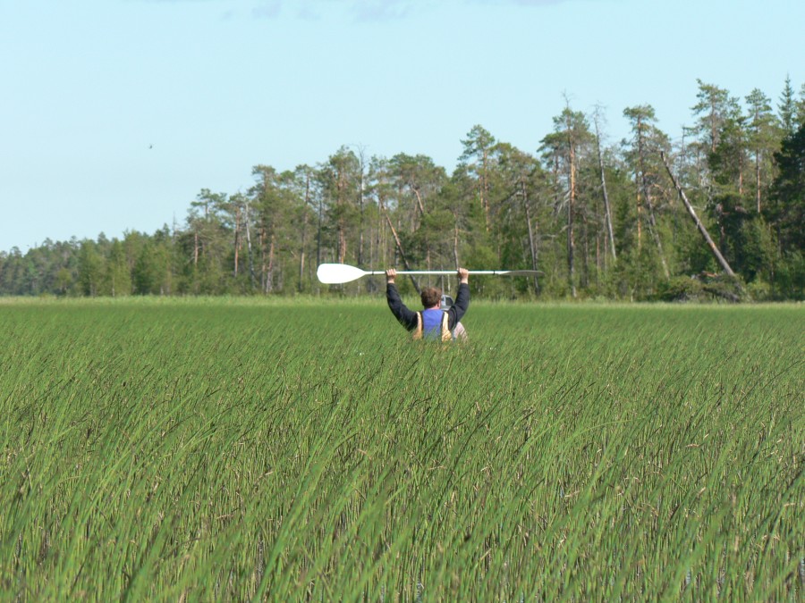 Jetzt als Keller .....