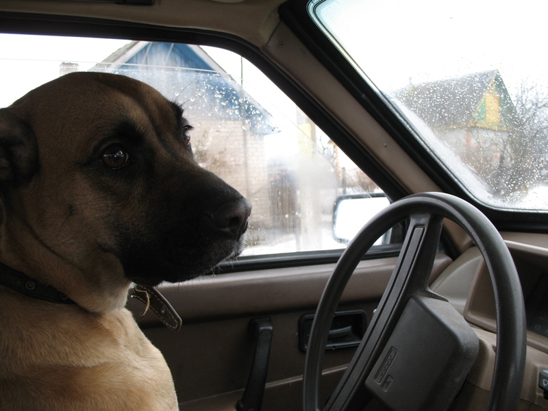 "Ach lassen Sie reiten's!