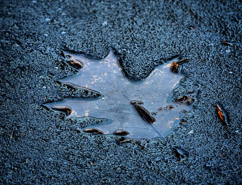 Ice Age ... Wahrscheinlich letzteres