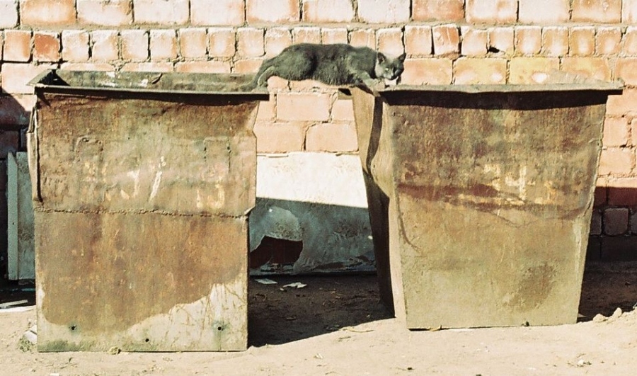 nicht mir beibringen, wie zu leben.