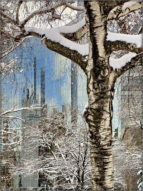 northern city bolero