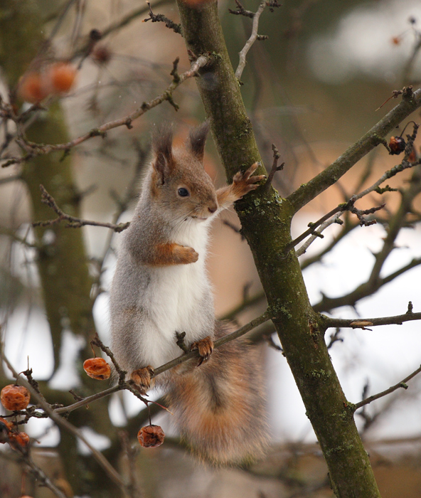Besuchen Sie uns auf das Licht!