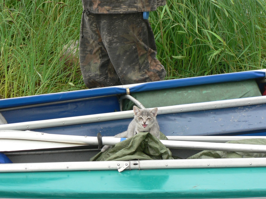 PUSH auf dem Kiel, Schrauben Stringer. Whistle alle an der Spitze