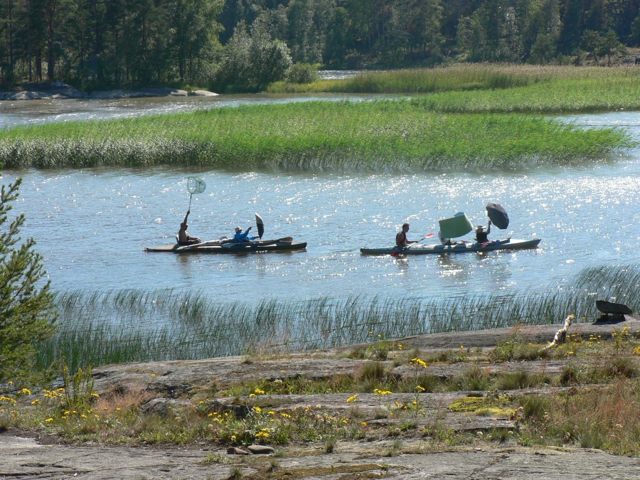 Segel sind anders - stilvoll und hässlich.