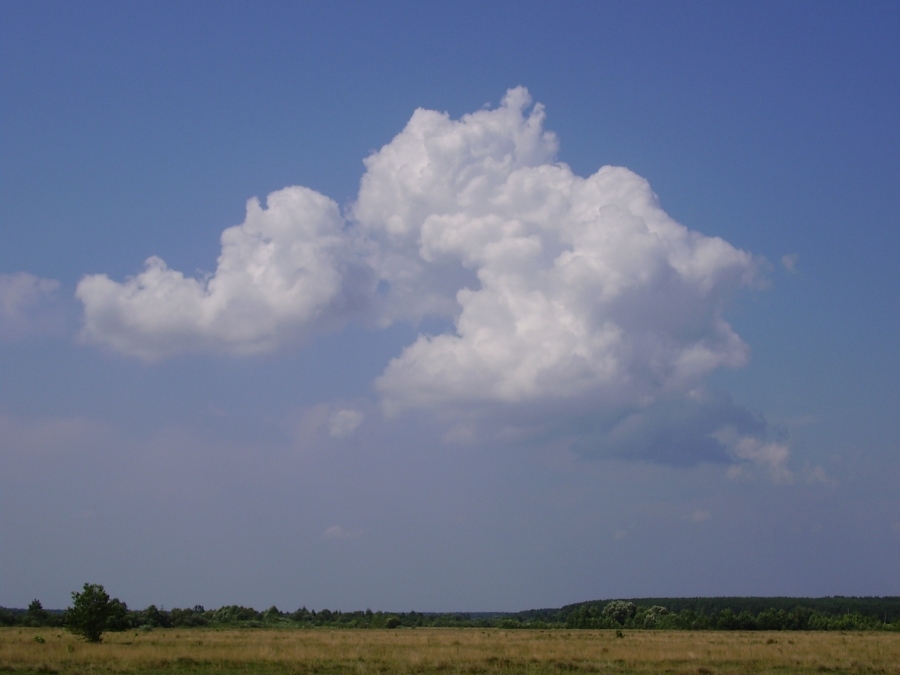 Plötzlich, in der Hitze einer Wolke