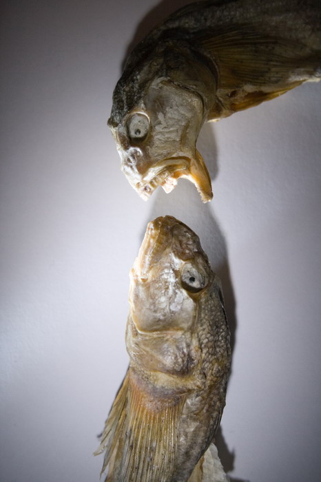 nicht ausgelöst, Chef!