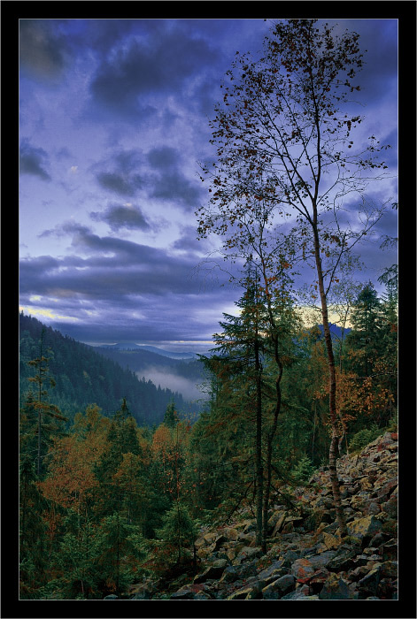 Herbst in den Bergen