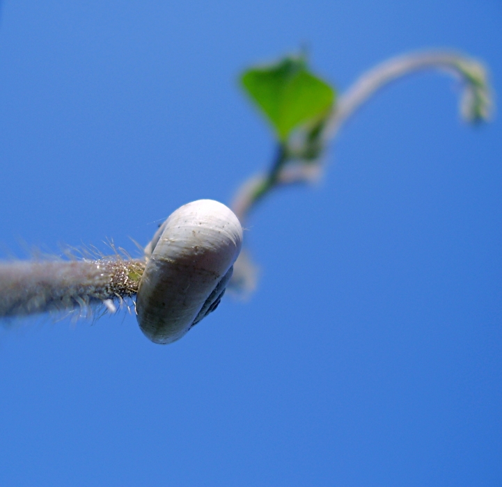 Lange Weg zum Himmel
