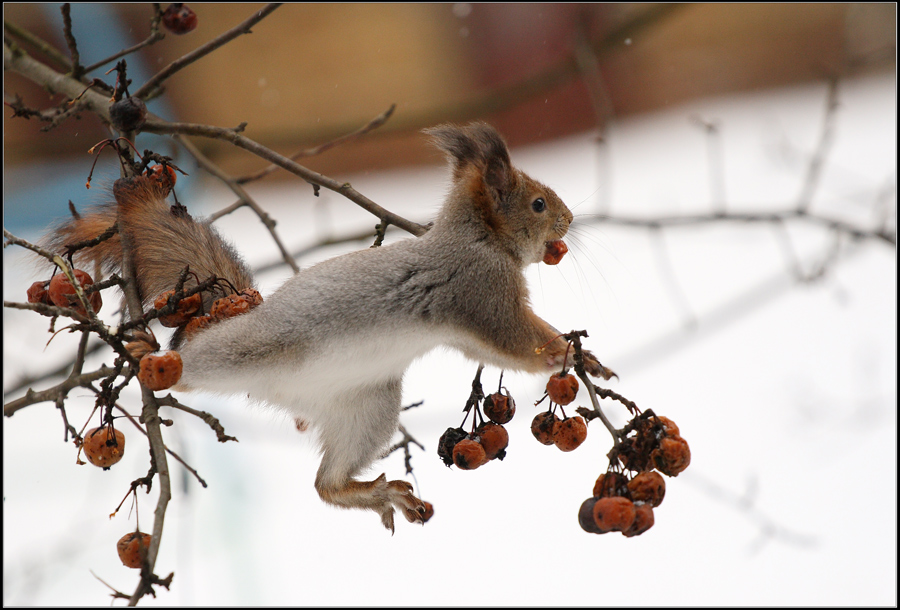 Gib mir ein Dreh-und Angelpunkt!