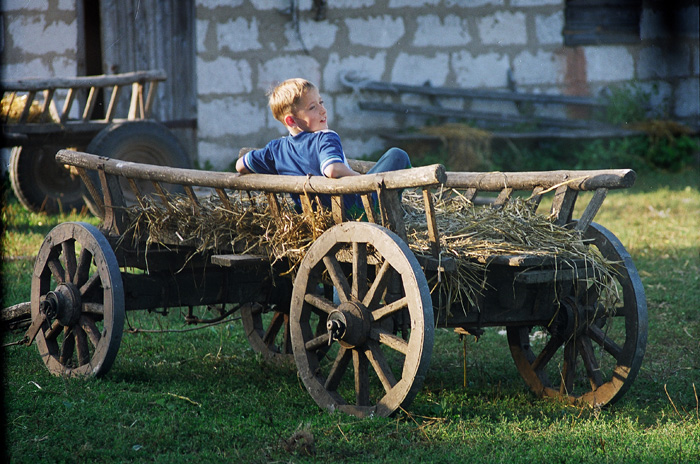 "Aber noch in der Nacht Ich Dorf Traum, lass mich nicht meine Heimat sein .." aus dem Lied.