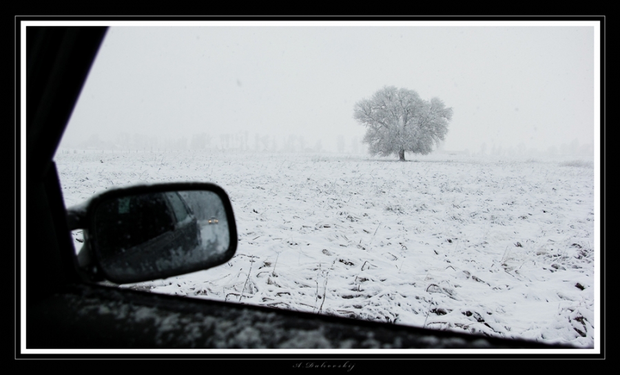 Du bist nicht allein ...