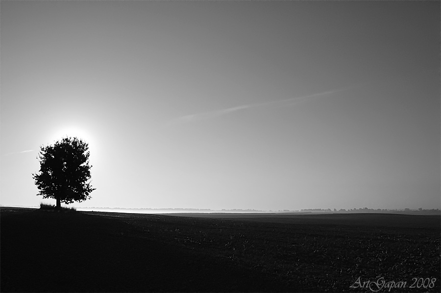 Draußen, irgendwo ...