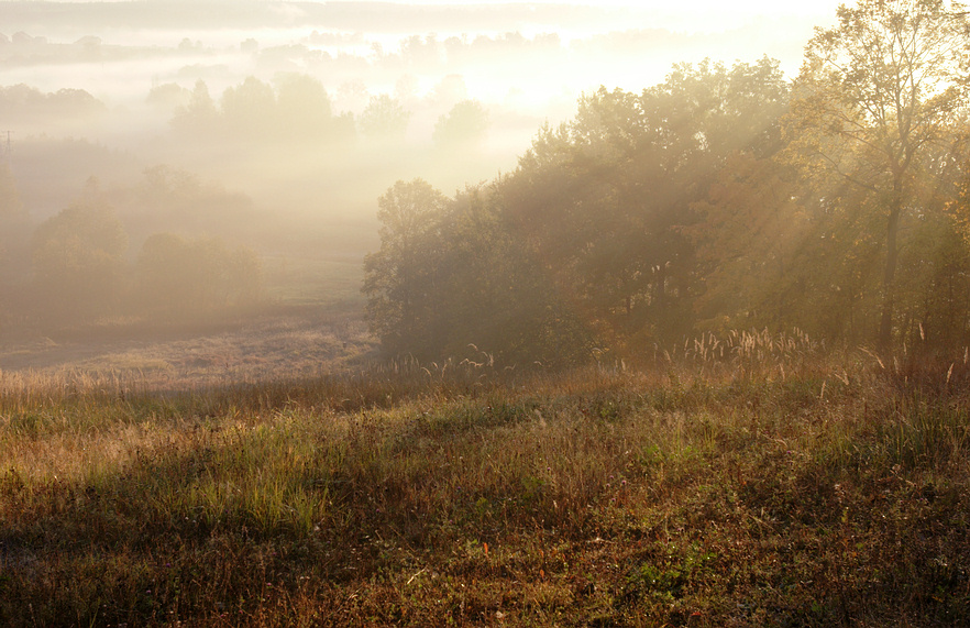 Träume von Herbst ..
