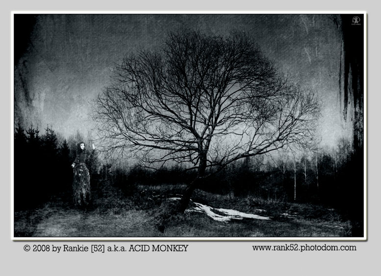 SON inspirierte Musik SIGUR ROS