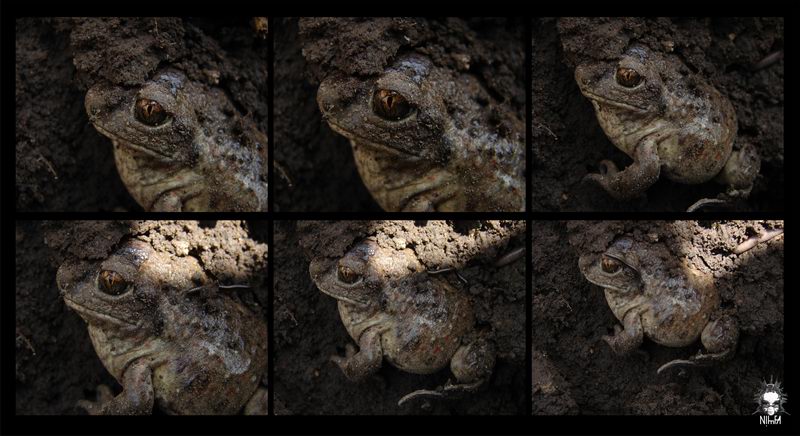 aufgefordert aus einem Traum