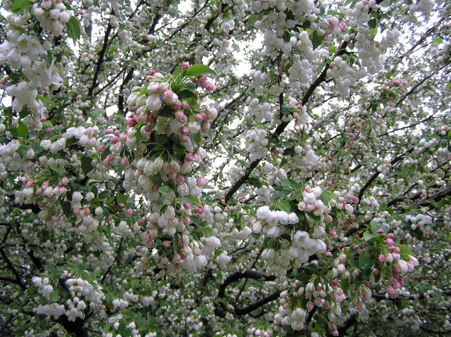 Der Frühling ist ein regnerischer Tag