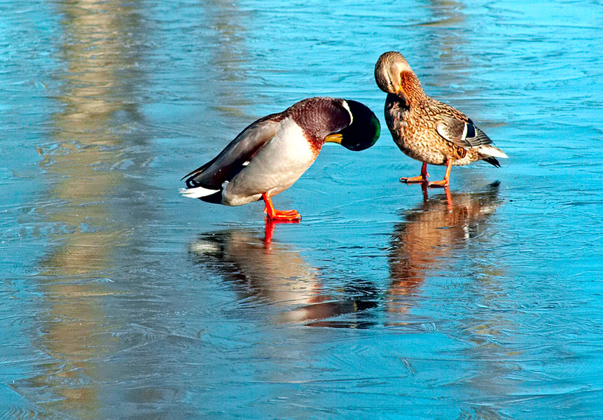Lassen Sie angazhirovat