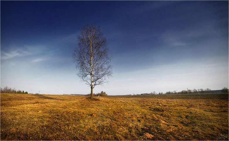 odinokoberezovovesenny