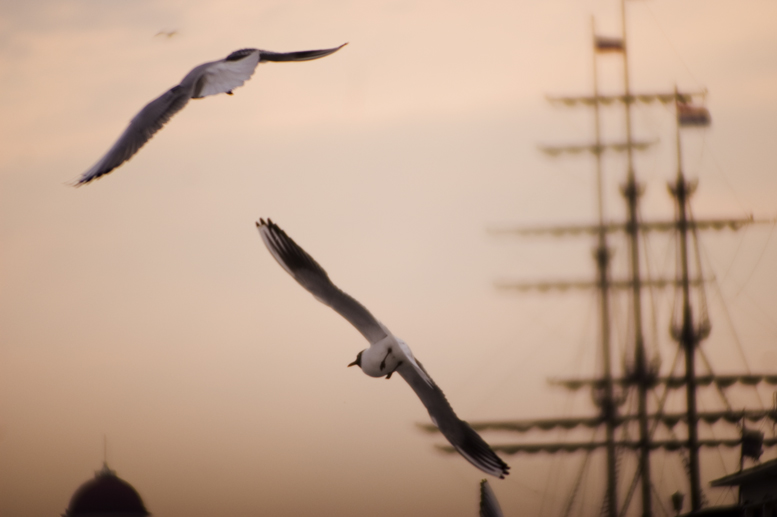 Sehen Sie den Sonnenuntergang über den Masten der Fregatte