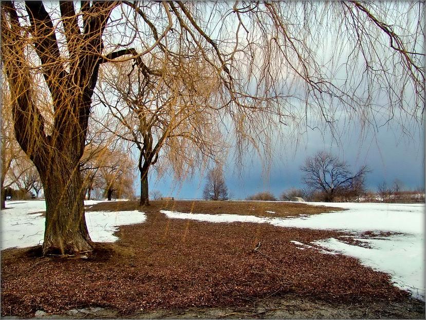 Nähe Hauch von Frühling