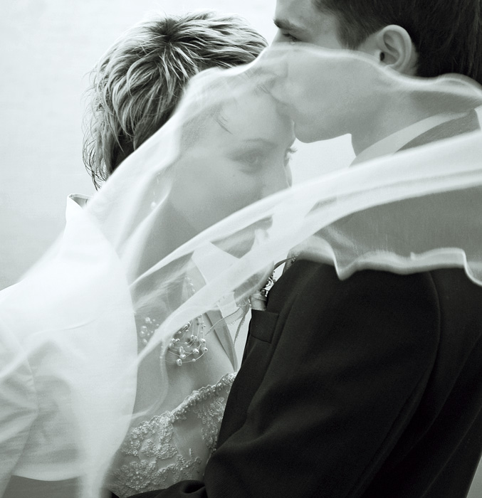 Die Insel der weißen Vögel