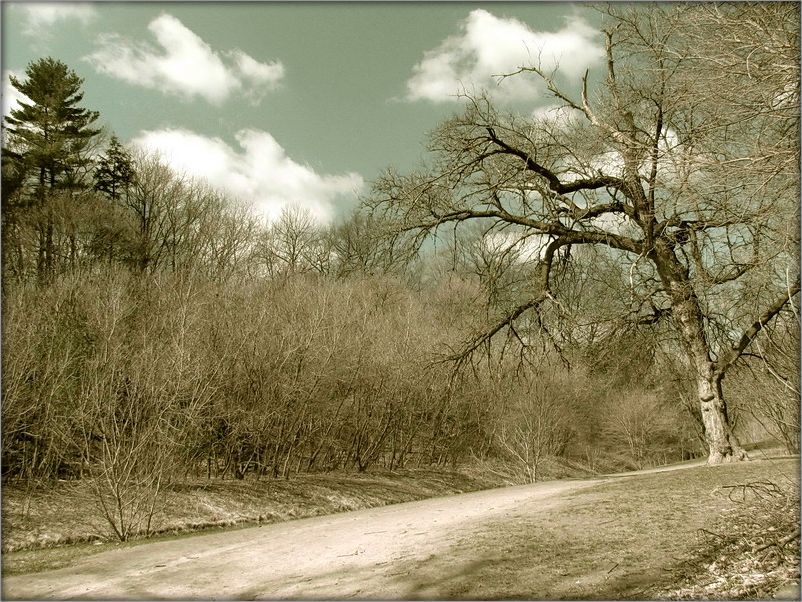 für eine halbe Stunde, bis die Feder