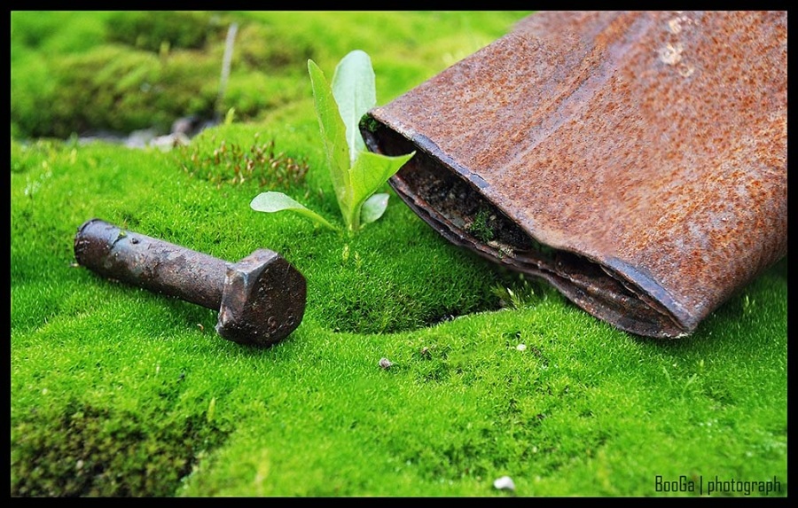 in der Welt der rostigen Schrauben