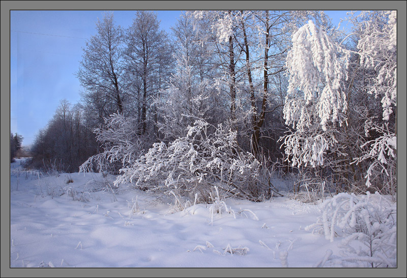 Winterlandschaft