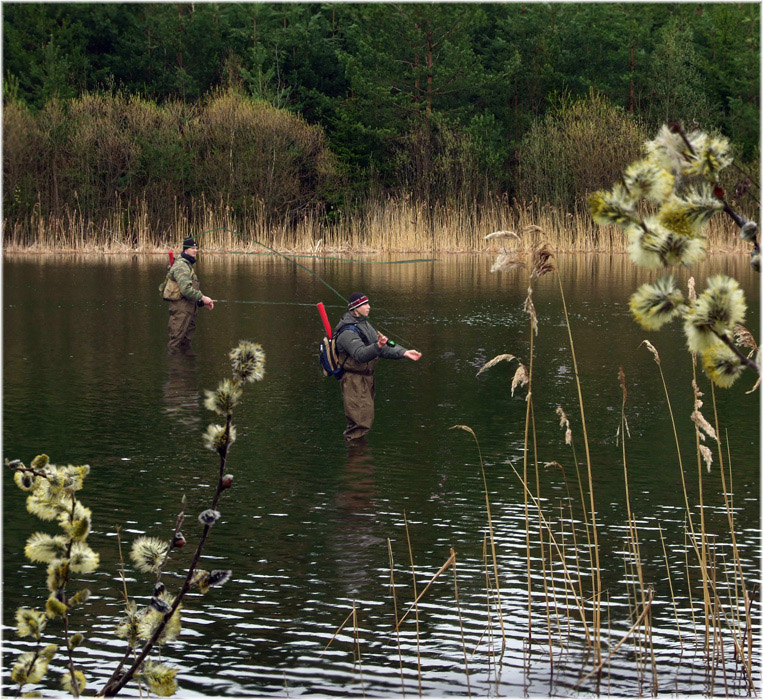 Spring Rodeos, Fliegenfischen.