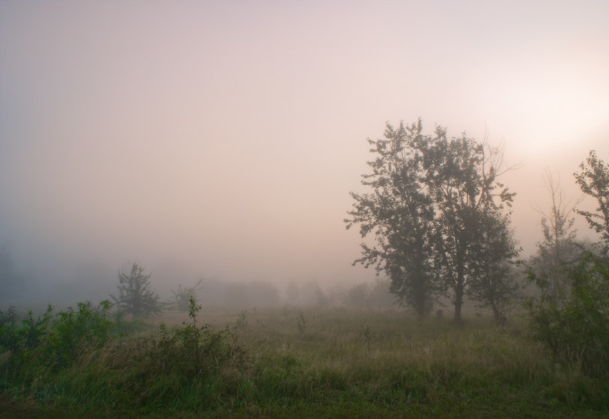 Misty Dawn