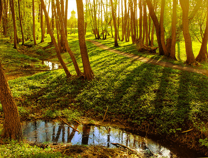 Taste of Sonnenschein