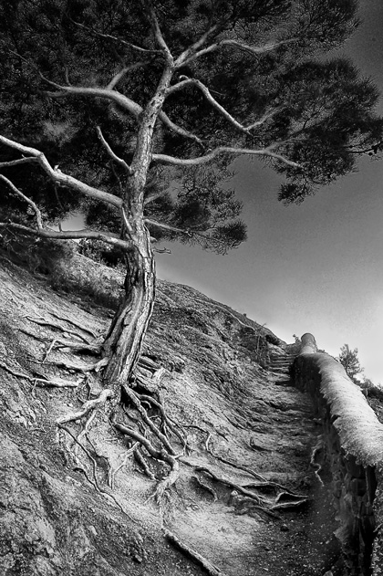 Das Festhalten an Leben