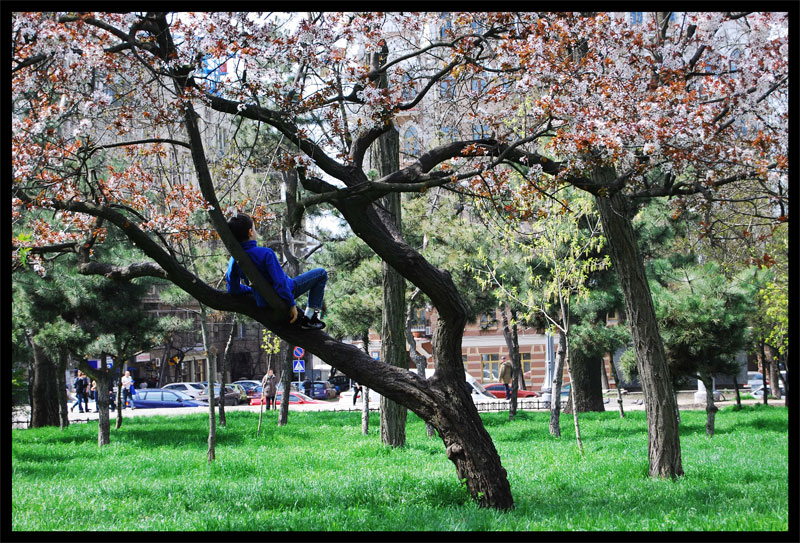 Future Datum romantisches