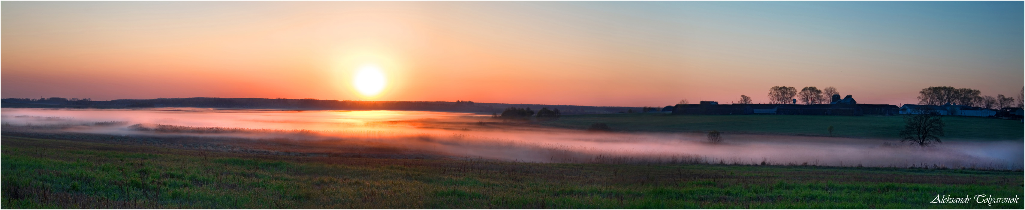 The Land of the Mist
