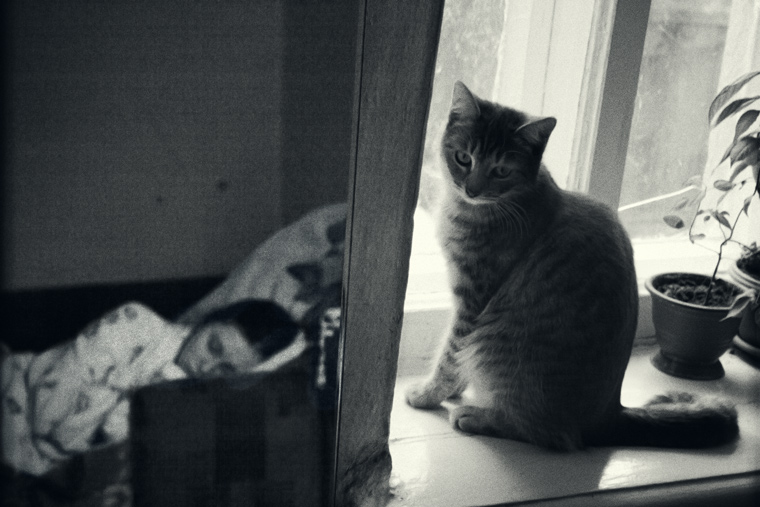 Setzen Sie sich in Schweigen