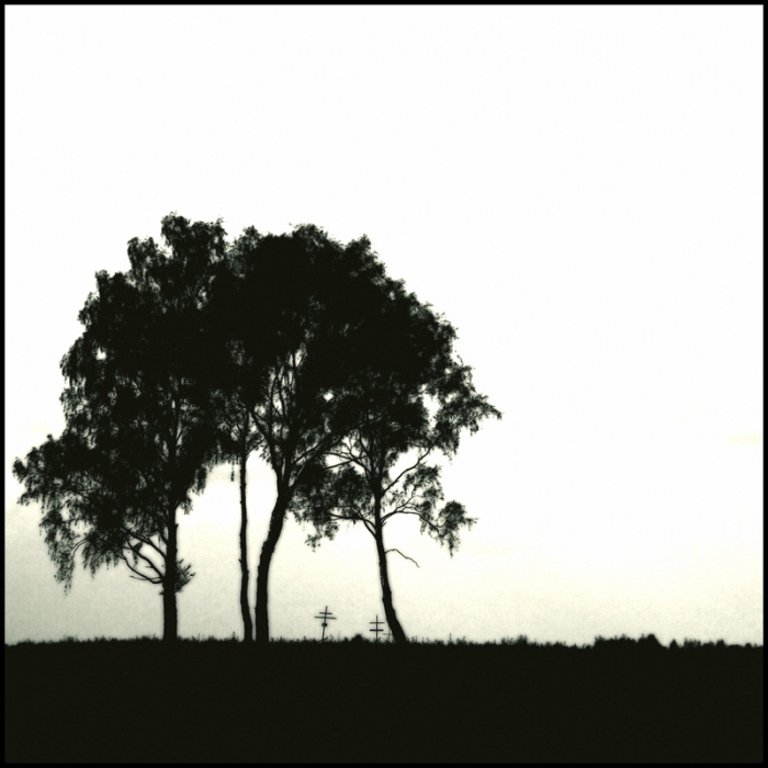 Das ist nicht gesagt,