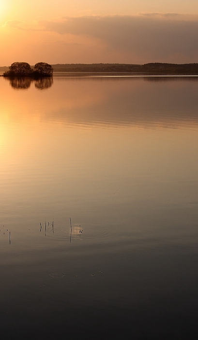 In Harmonie mit der Natur
