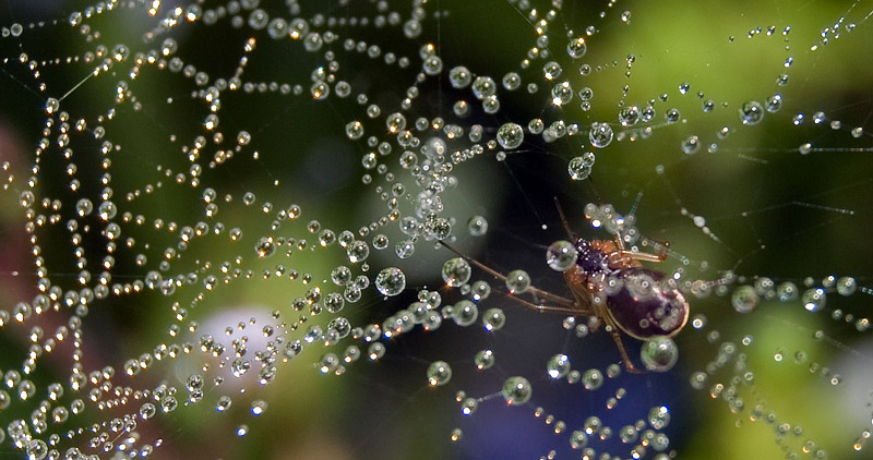Nach der Milchstraße