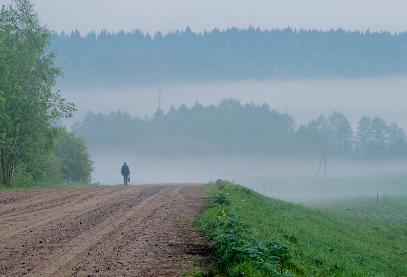 Verschwinden im Nebel