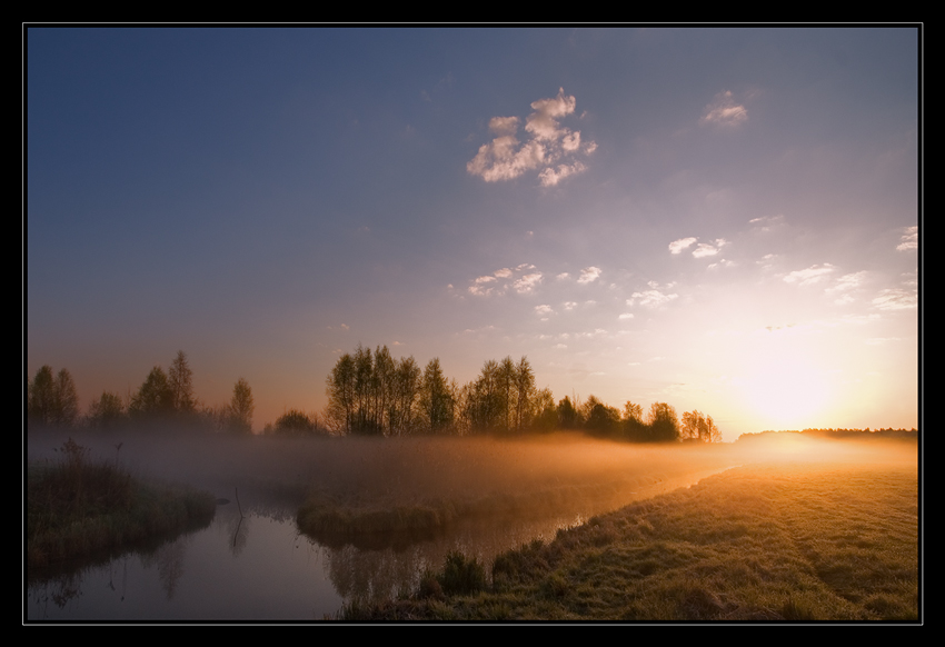 Auf den Nebel und Dämmerung ...
