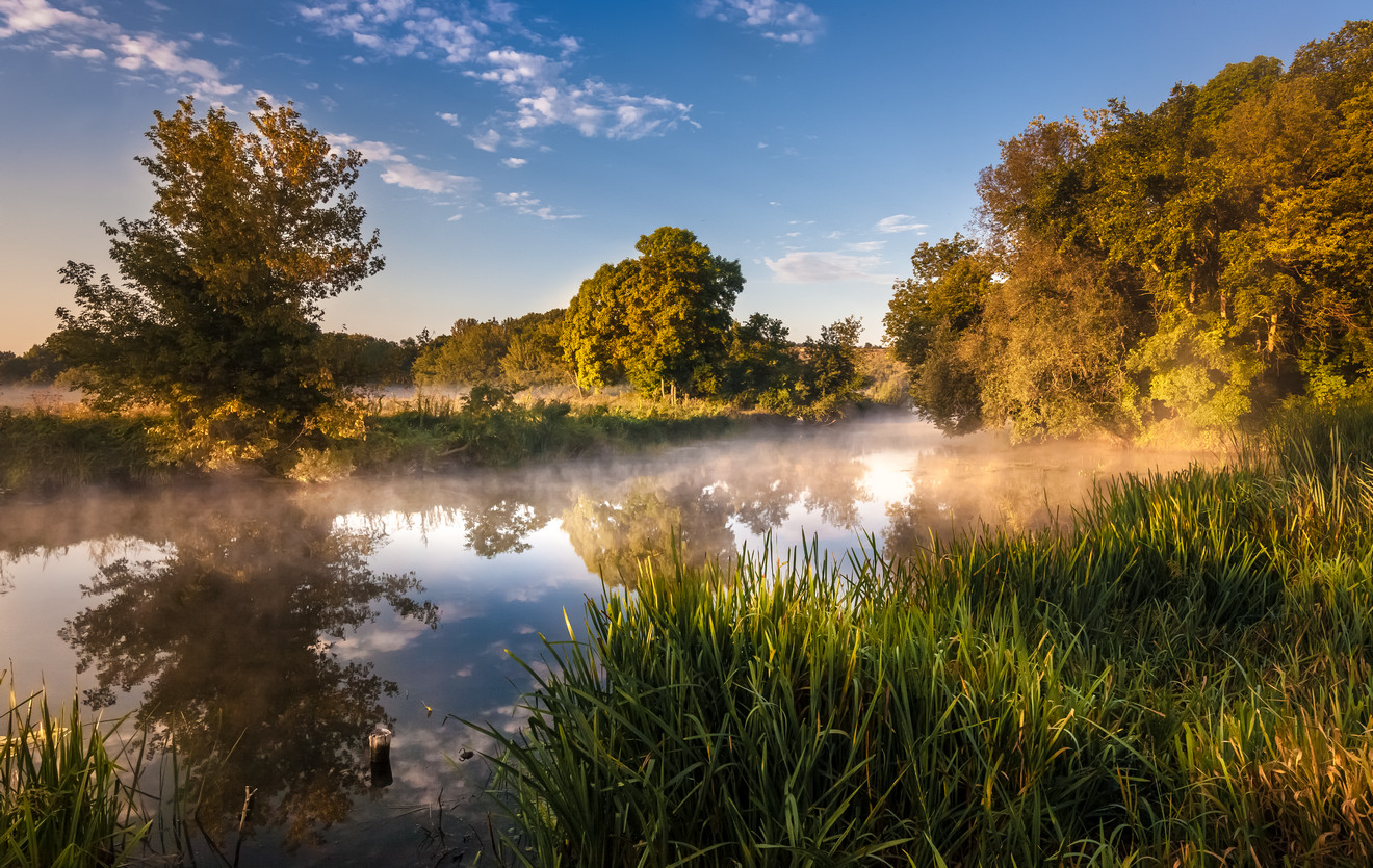 im Vorgriff auf den Fall