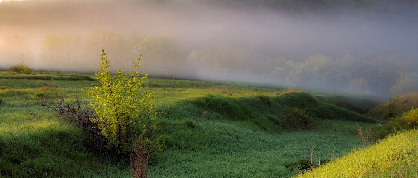 Morning Glückseligkeit