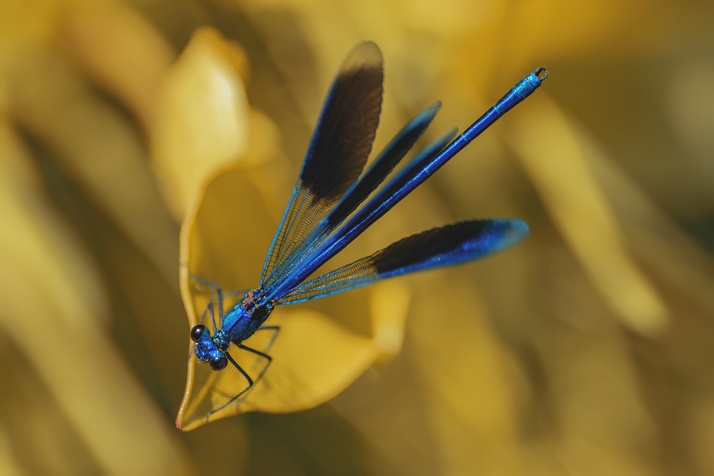 durch die Augen des Fotografen