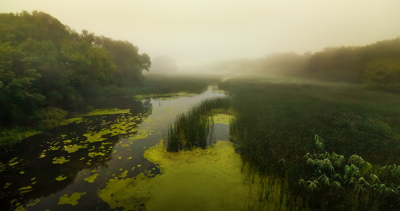 50 Schattierungen von Grün