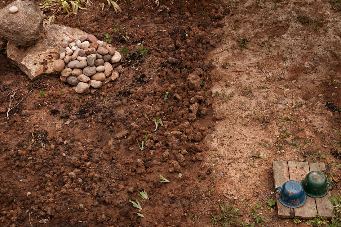 Schönheit rettet die Welt