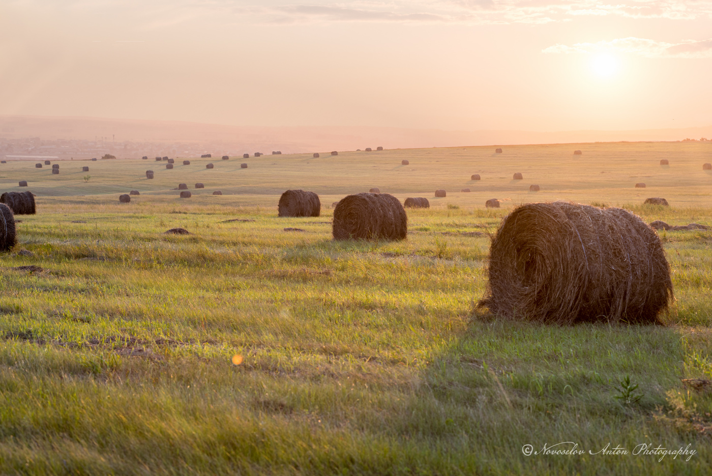 Schönheit rettet die Welt