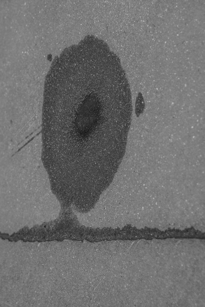 Schönheit rettet die Welt